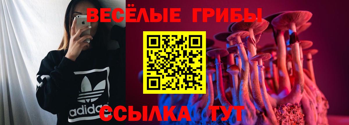 Псилоцибиновые грибы ЛСД Лыткарино